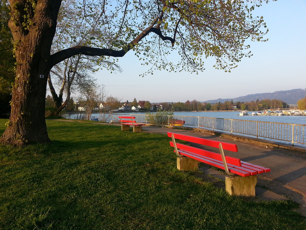 识到竞技体 识到竞技体