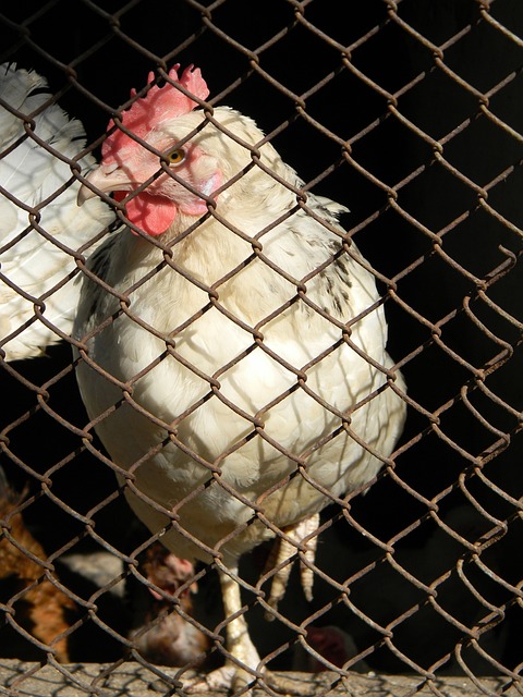 占得先機 占得先機