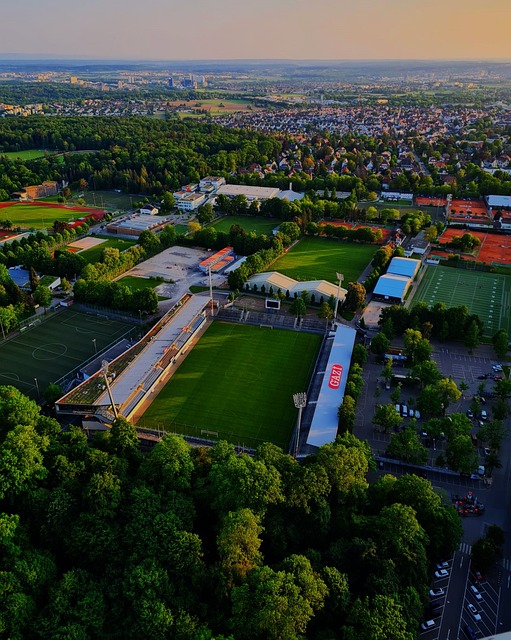 进一步发展 进一步发展