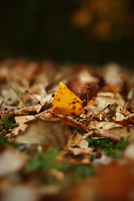 如何调整好 如何调整好