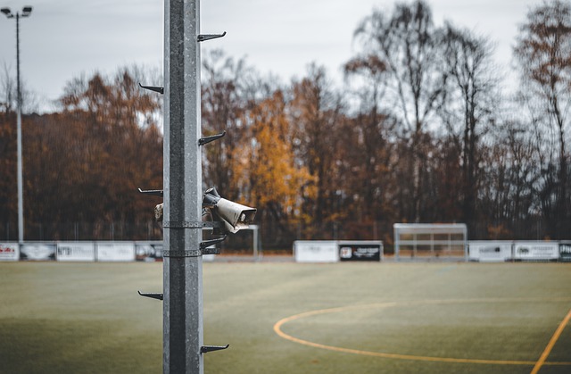 耐心的组织 耐心的组织