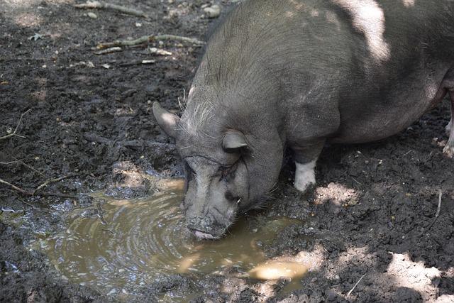 希望有一天 希望有一天