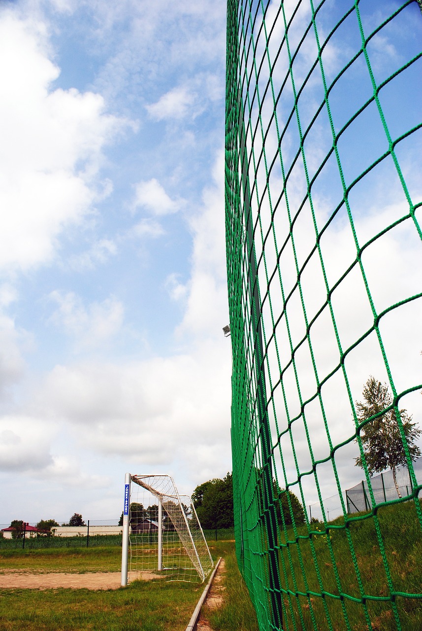 成为众多豪 成为众多豪