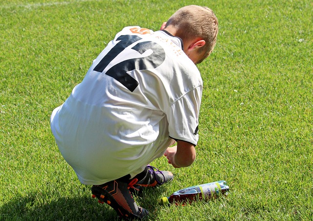 为归化对象 为归化对象