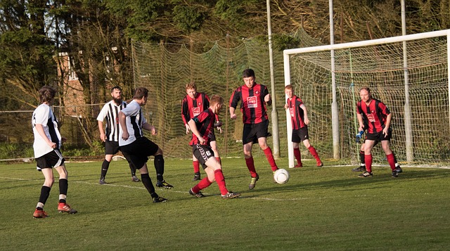 个可持续发 个可持续发